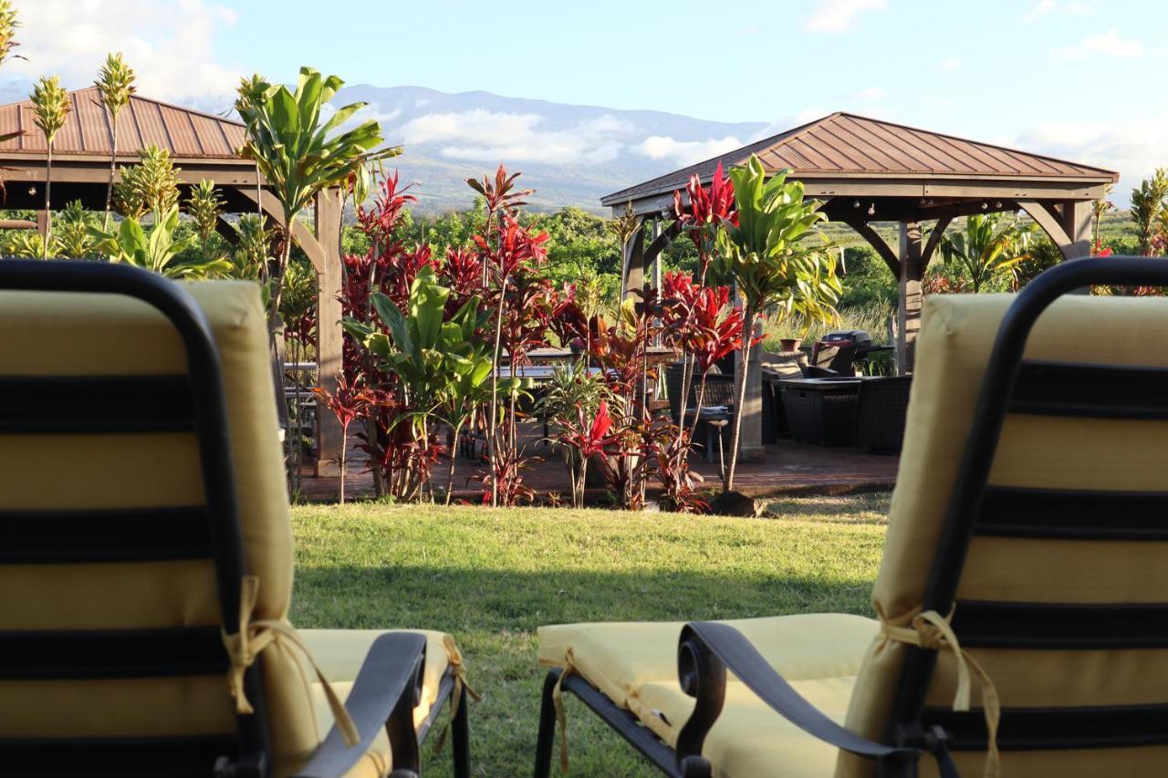 God'S Peace Of Maui Bed & Breakfast Makawao Dış mekan fotoğraf