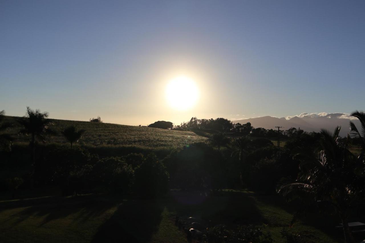 God'S Peace Of Maui Bed & Breakfast Makawao Dış mekan fotoğraf