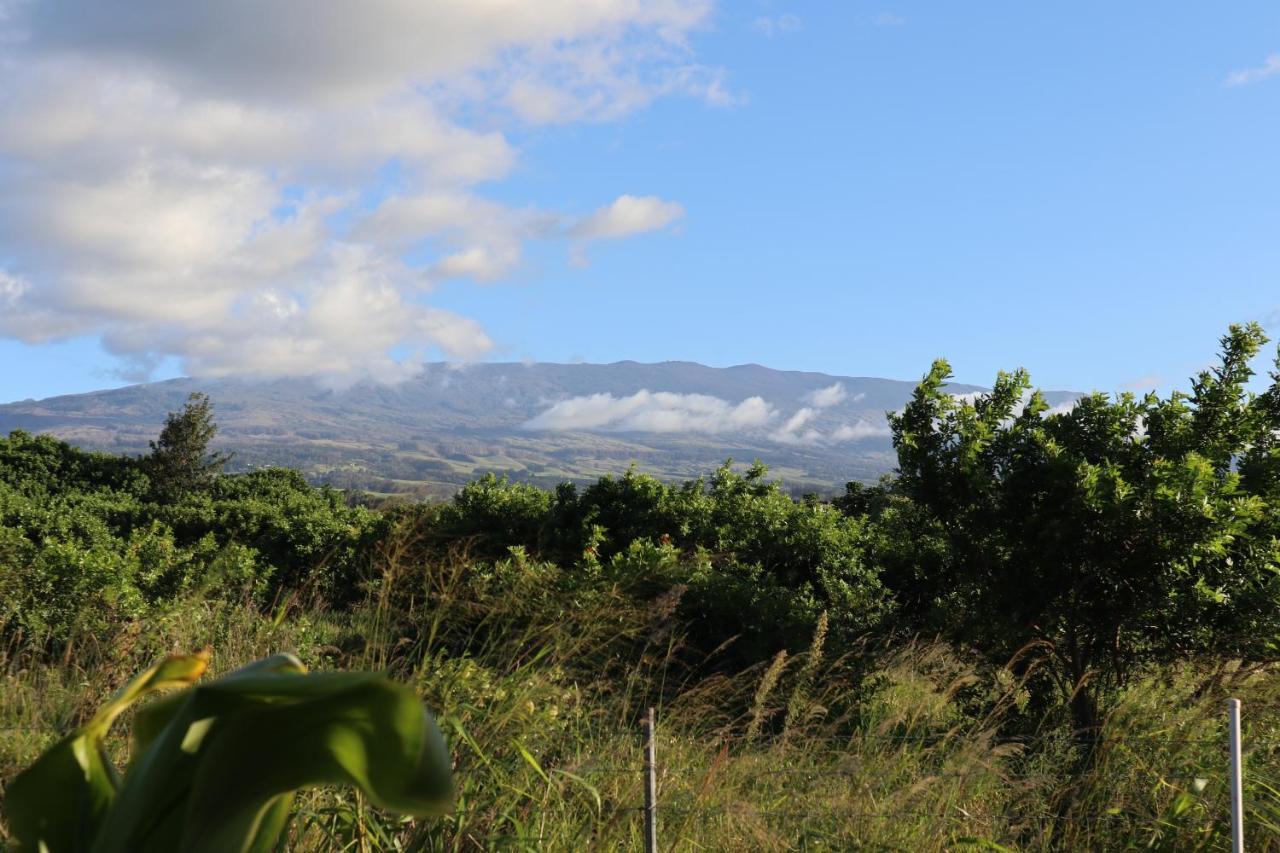 God'S Peace Of Maui Bed & Breakfast Makawao Dış mekan fotoğraf