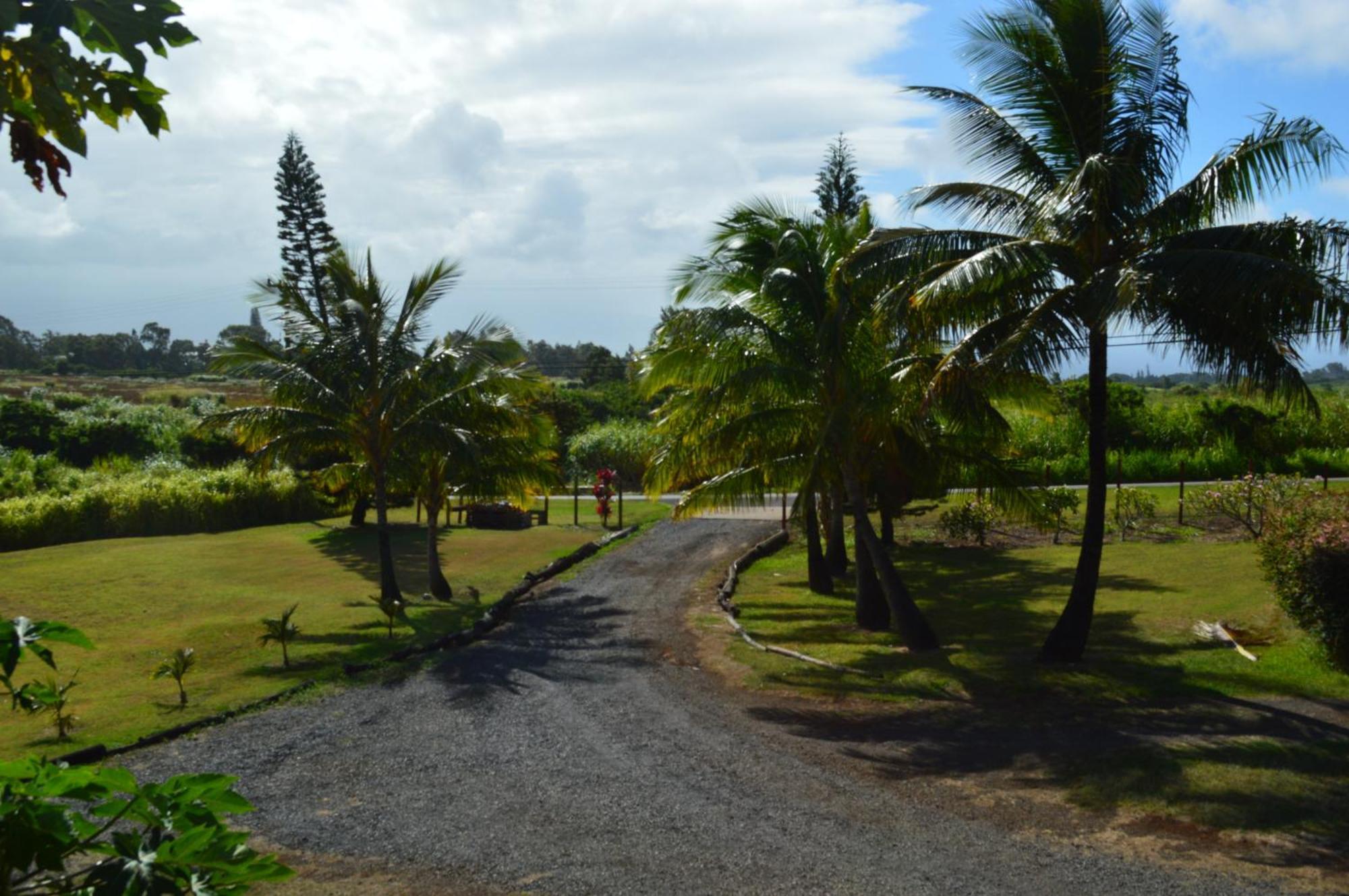God'S Peace Of Maui Bed & Breakfast Makawao Oda fotoğraf