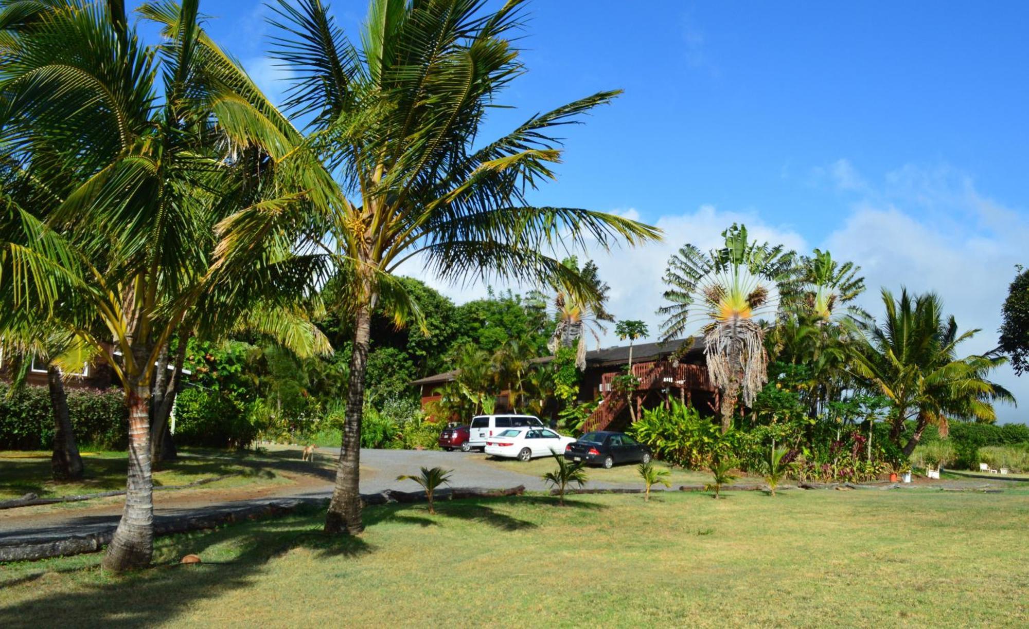 God'S Peace Of Maui Bed & Breakfast Makawao Oda fotoğraf