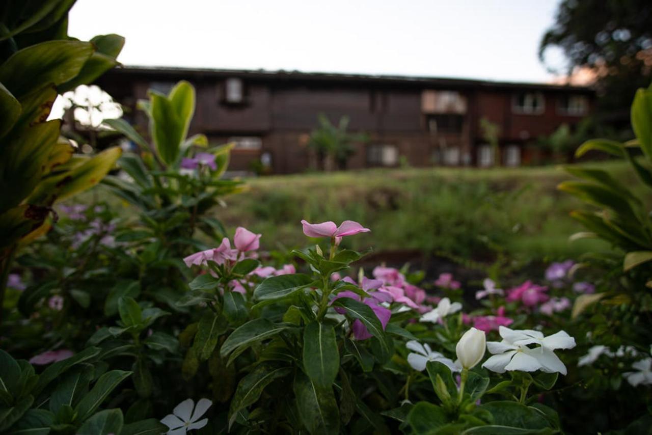 God'S Peace Of Maui Bed & Breakfast Makawao Dış mekan fotoğraf