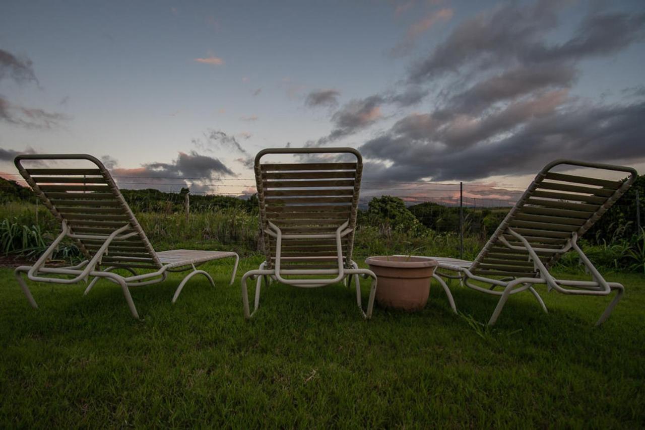 God'S Peace Of Maui Bed & Breakfast Makawao Dış mekan fotoğraf