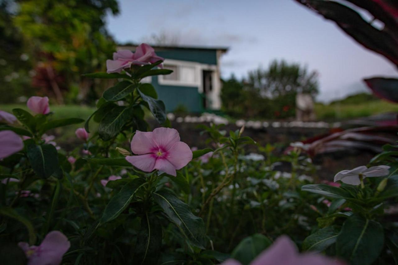 God'S Peace Of Maui Bed & Breakfast Makawao Dış mekan fotoğraf