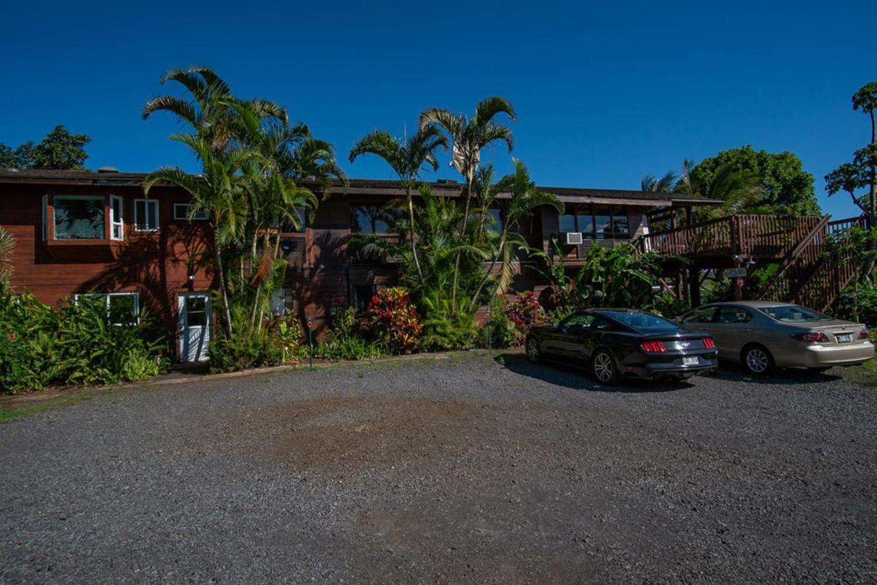 God'S Peace Of Maui Bed & Breakfast Makawao Dış mekan fotoğraf